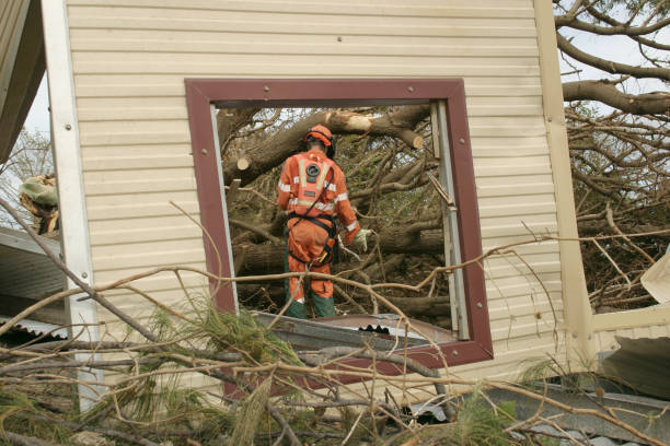 Best Tree Trimming and Pruning  in Haworth, NJ